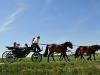 Mit der Hochzeitskutsche von Rothenburg nach Steinsfeld