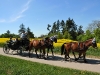 Mit der Hochzeitskutsche von Rothenburg nach Steinsfeld