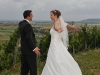 Hochzeit von Diana & Marco in Willanzheim