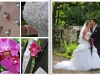 Hochzeitsbilder von Beatrice und Oliver