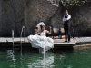 Der Hochzeitsfotograf beim