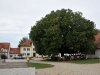 hochzeit-auf-gut-sedlbrunn-in-poettmes-der-hochzeitsfotograf-bayern-003