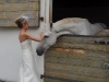 hochzeit-auf-gut-sedlbrunn-in-poettmes-der-hochzeitsfotograf-bayern-030