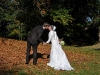 hochzeit_elisabeth__alexander_22-10-11_043_basisoptimiertes-bild