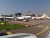 Anflug auf Amsterdam