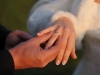 Hochzeit von Catarina und Henk