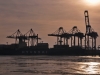 der Hochzeits Fotograf zu Gast in Hamburg