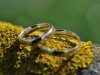 Heiraten am Freitag den 13.ten | der Hochzeitsfotograf Erlangen