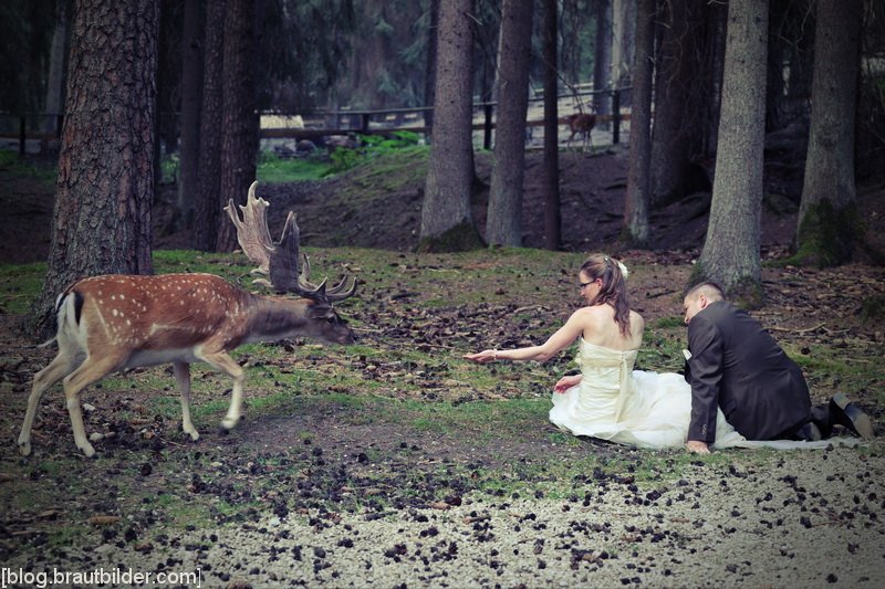 Trash the Dress spektakuläre und andere Hochzeistfotos vom Hochzeitsfotograf aus Nürnberg