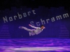 HOLIDAY ON ICE - PLATINUM Nuernberg 12-2014 - der Hochzeitsfotograf