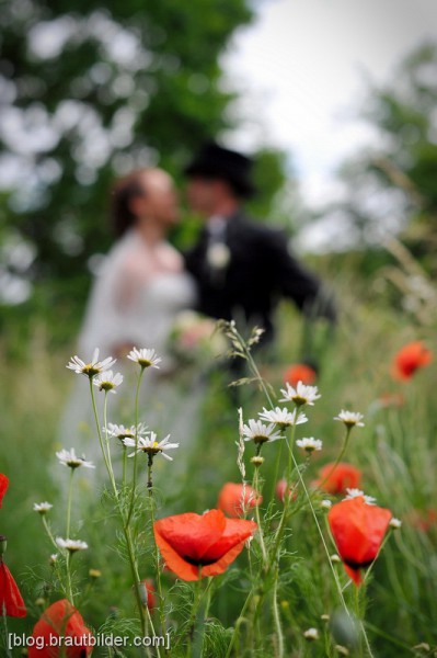 Hochzeit Der Hochzeitsfotograf in Großlangheim (Ochsenfurt, Kitzingen, Würzburg)