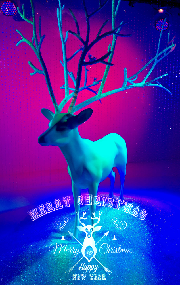 der Hochzeitsfrotgraf wünscht frohe Weihnachten