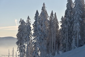 Hochzeitfotograf, Bodenmais, Winterhochzeit, Böhmhof, Boehmhof, Standesamt , Arber
