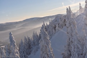 Hochzeitfotograf, Bodenmais, Winterhochzeit, Böhmhof, Boehmhof, Standesamt , Arber