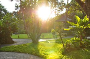 Hochzeitsfotos auf Bali, Fotos im Brautkleid in Bali, deutscher Fotograf Bali, Heiraten Sanur, Fotos im Brautkleid auf Bali
