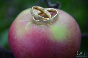 Der Hochzeitsfotograf macht auch die Detailbilder