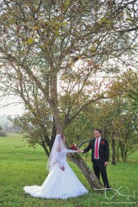 romantische Hochzeitsfotos in Forchheim, der Fotograf in Forchheim und Umgebung
