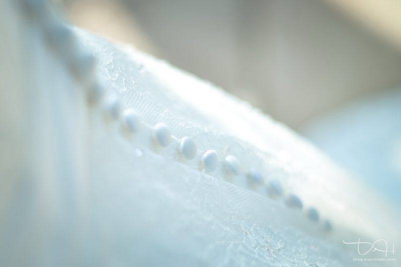 Bilder vom Brautkleid fotografiert vom Hochzeitsfotografen.