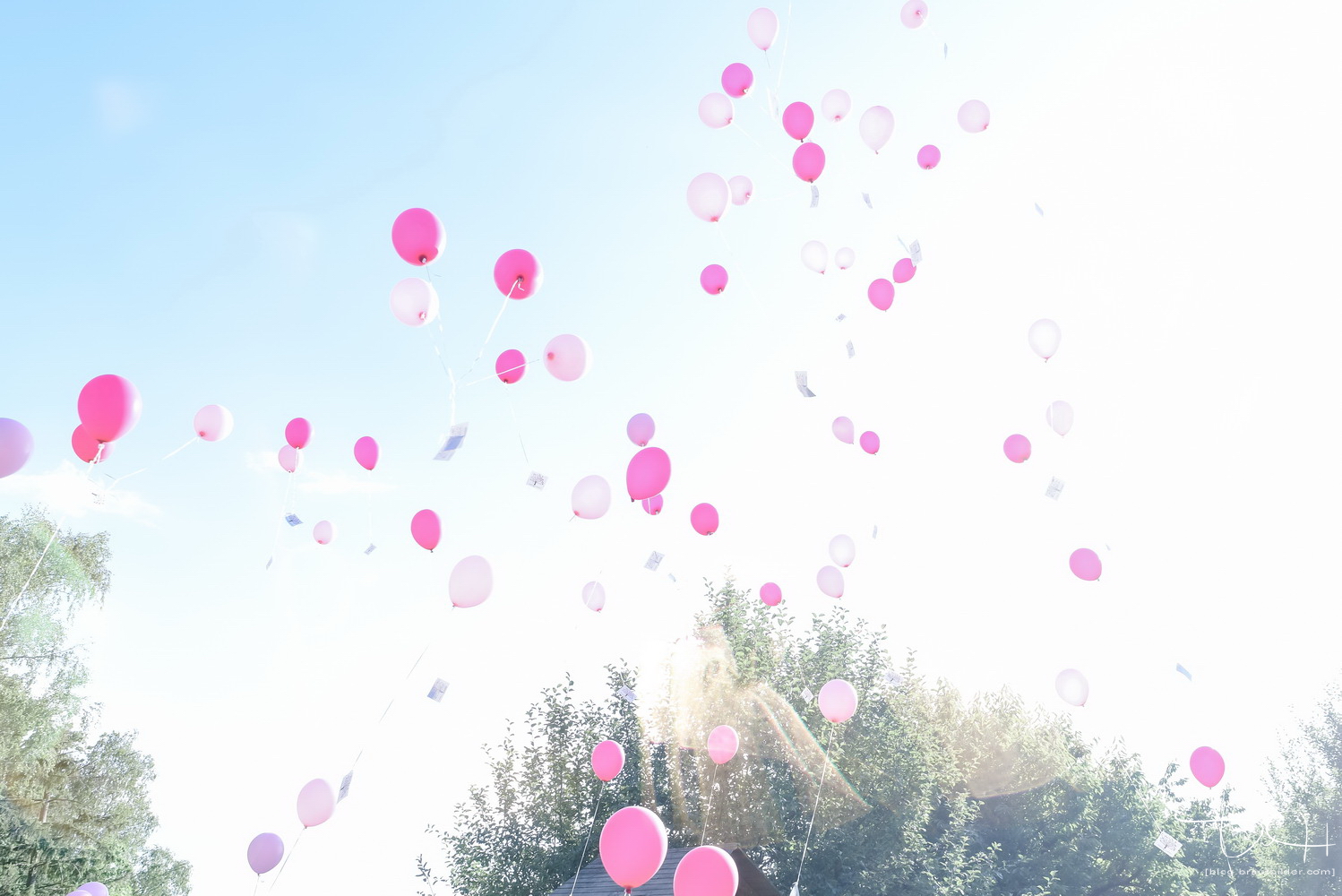 Luftballons fuer das Brautpaar. Der Hochzeitsfotograf aus Nuernberg in Leinburg im Distlerhof.