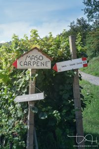 Der Hochzeits Fotograf am Gardasee in Italien