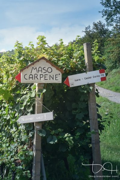 Der Hochzeits Fotograf am Gardasee in Italien