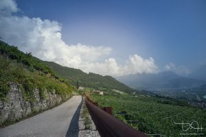 Hochzeitsfotograf am Gardasee in Italien