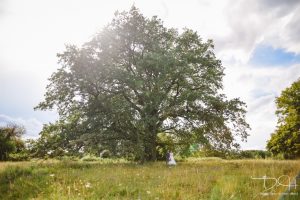 Brautshooting mit dem Hochzeitsfotografen.