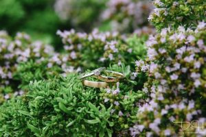 Die Ringe fotografiert der Hochzeits Fotograf.